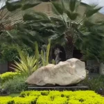 Wujil Resort & Convention Thumbnail