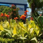 Trans Marga Jateng Thumbnail