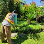 Membuat Taman Impian Anda dengan Jasa Taman Semarang Paritama Thumbnail