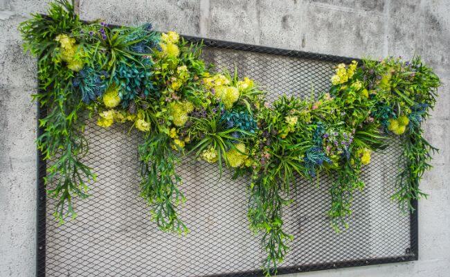 Bagaimana Perawatan Tanaman Vertical Garden? Banner