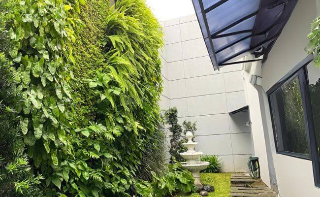 Tanaman Vertical Garden Outdoor yang Tahan Panas Apa Saja? Banner