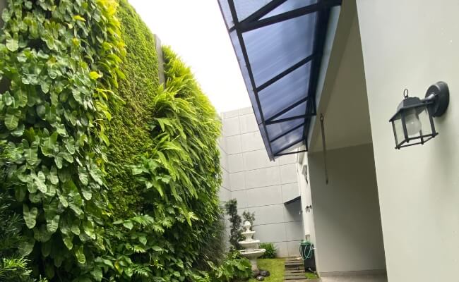 Membangun Vertical Garden Minimalis, Ini Ide Desainnya! Banner