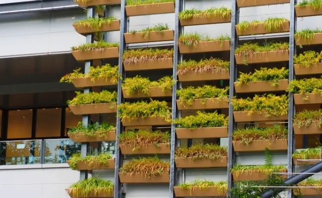 Vertical Garden di Kantor Tingkatkan Produktivitas Karyawan Banner