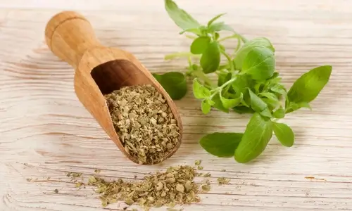 Oregano