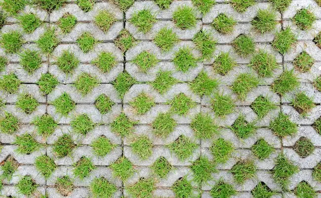 Grass Block