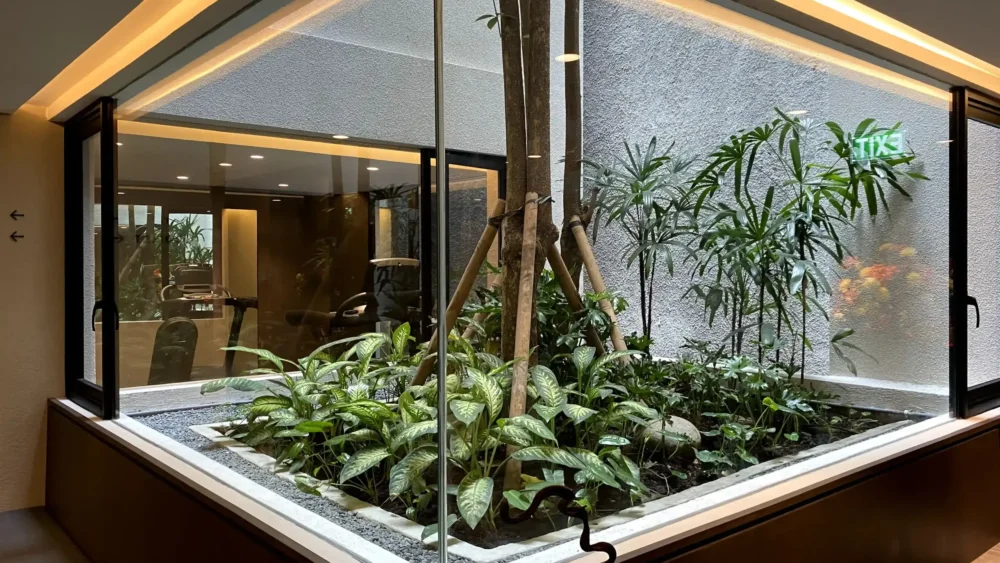 8 Kesalahan Memilih Tanaman untuk Area Panas Banner