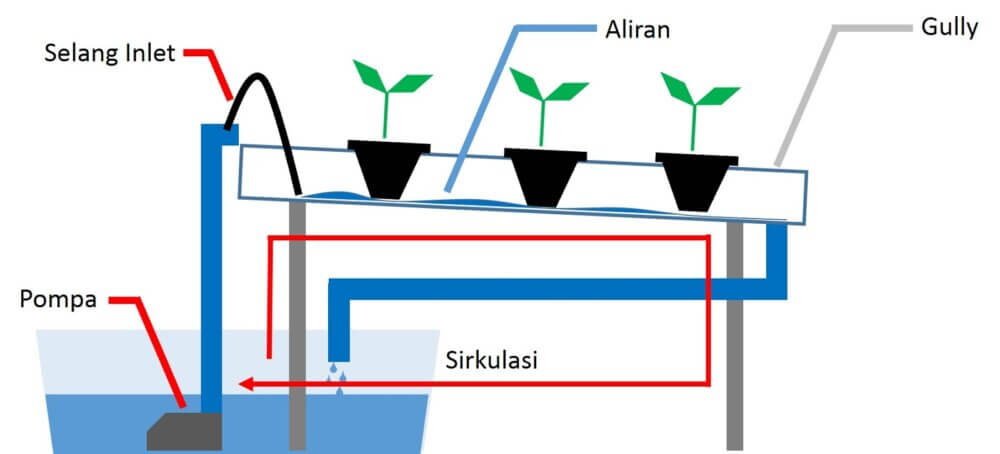 Sistem NFT (Nutrient Film Technique)