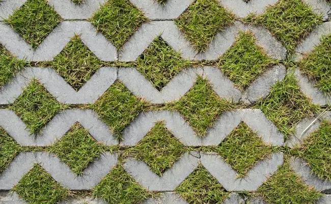 Jenis-jenis Paving Untuk Taman, Mana yang Terbaik? Banner