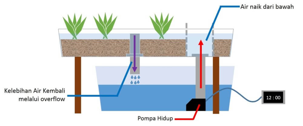 Sistem Ebb and Flow