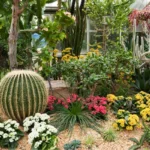 5 Perbedaan Taman Kering dan Taman Basah Thumbnail