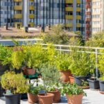 Tips Membuat Taman Di Rooftop, Rahasia Penting! Thumbnail