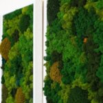 Apa Itu Preserved Moss, Solusi Ruangan Tampak Indah Thumbnail