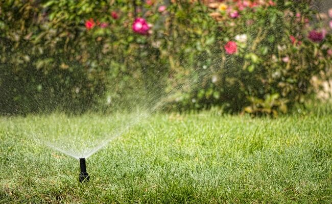 Faktor yang Menentukan Frekuensi Pemeliharaan Taman