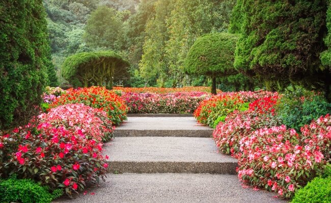 Pertimbangkan 6 Hal Ini Saat Memilih Jasa Kontraktor Lanskap! Banner