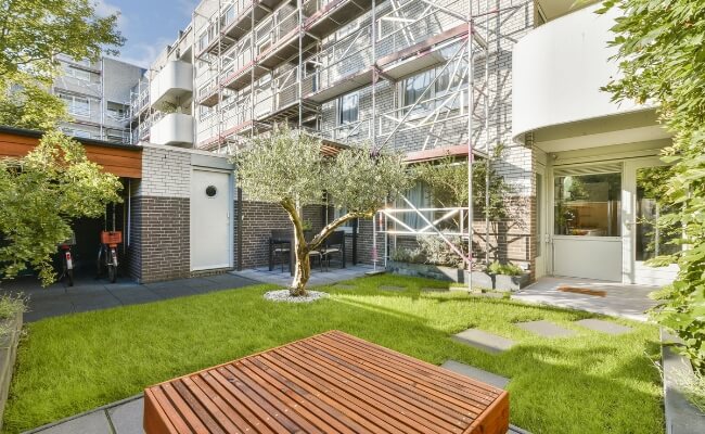 Menentukan Tanaman (Softscape) yang Tepat untuk Taman