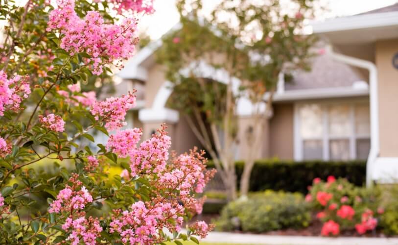 Tips Menentukan Tanaman dan Material Taman Banner