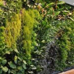 Jasa Vertical Garden Profesional: Solusi Taman Ruang Terbatas Thumbnail