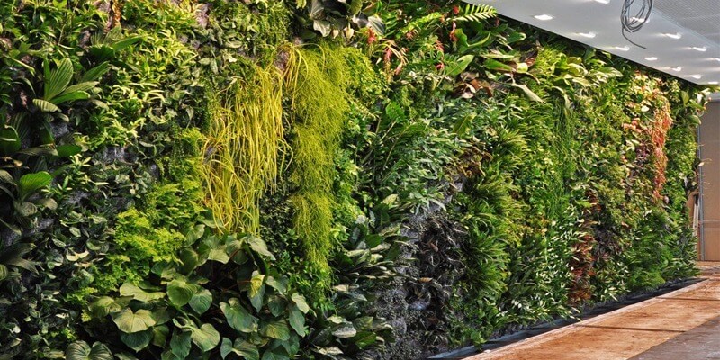 Jasa Vertical Garden Profesional: Solusi Taman Ruang Terbatas Banner