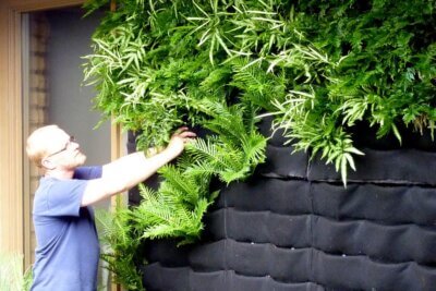 Jasa Vertical Garden