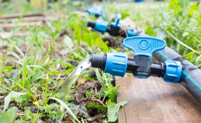 Drip Irrigation