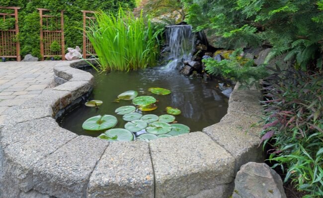 Peran Fungsional Lainnya dalam Lanskap Modern