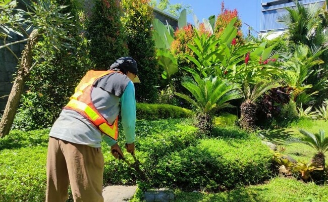 Proses Kerja Jasa Tukang Taman ala Paritama Landscape