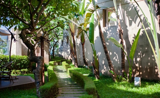 Peran Kontraktor dalam Pengerjaan Taman Tropis yang Berkualitas Banner