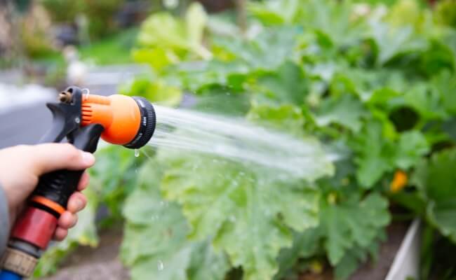 sistem irigasi taman manual