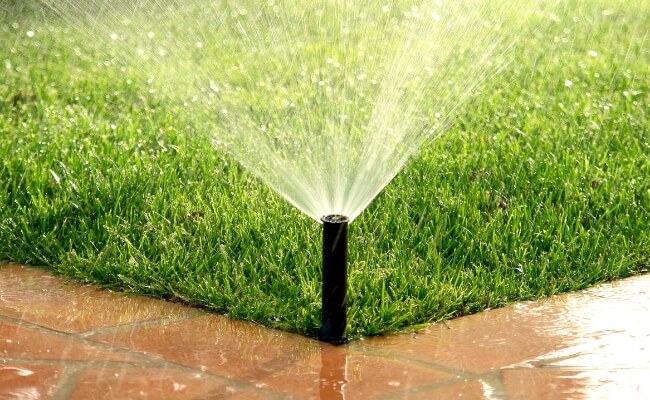 Sistem Irigasi Taman: Lebih Baik Manual atau Otomatis? Banner