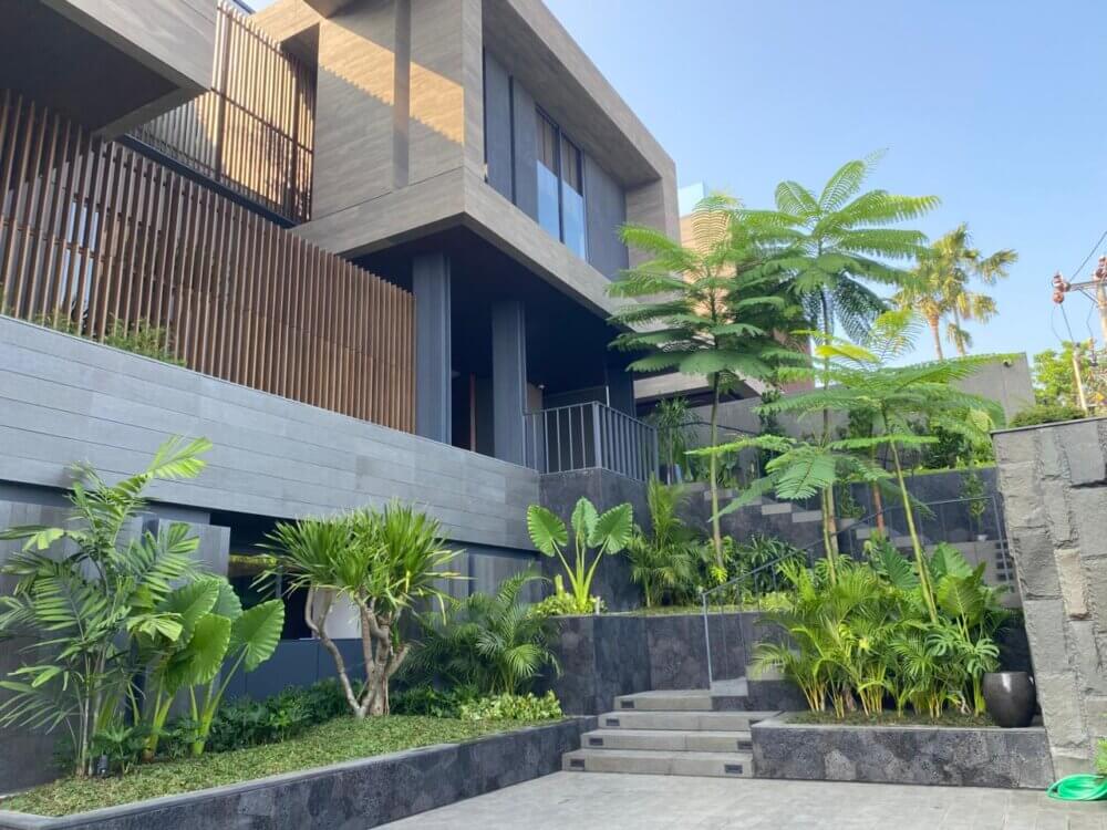 Manfaat Tanaman Hias untuk Kesehatan Mental Banner