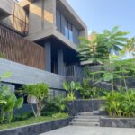 Manfaat Tanaman Hias untuk Kesehatan Mental Thumbnail