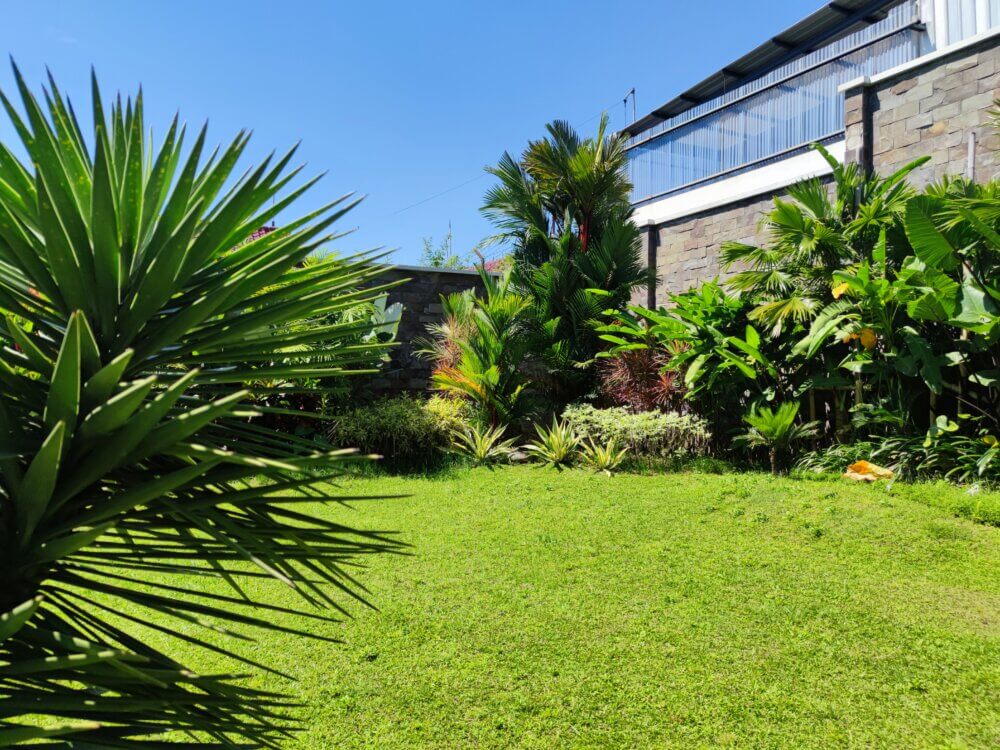 manfaat tanaman hias3