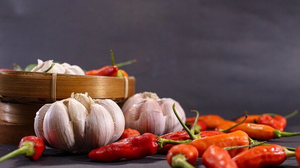 Pembasmi Hama Organik