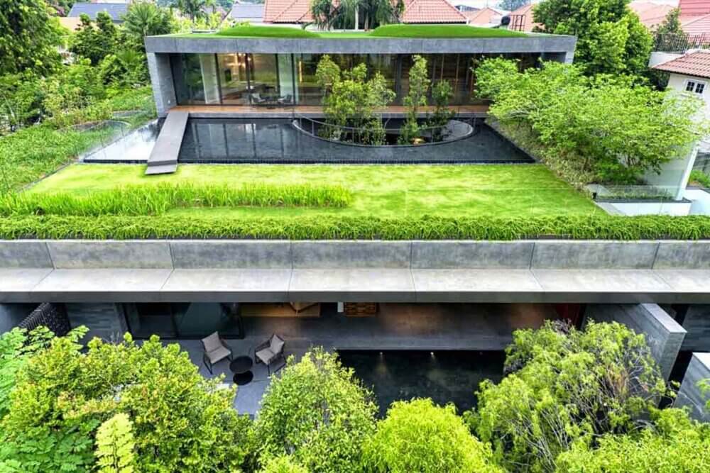 DIY Green Roof: Cara Mudah Membuat Atap Hijau untuk Mengatasi Panas di Rumah Banner
