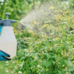 Usir Hama dengan Cairan Pembasmi Hama Organik dari Dapur Thumbnail