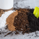 Panduan Memilih Media Tanam Untuk Aglonema dan Monstera Thumbnail