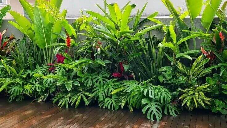 Low Maintenance Garden.1