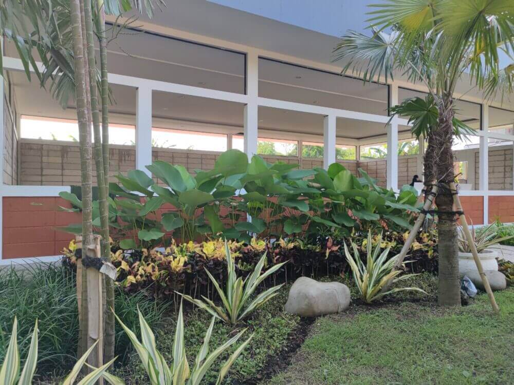 Taman Minimalis Modern: Cara Memberikan Kesan Luas pada Lahan Rumah yang Sempit Banner