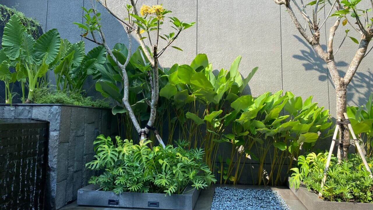 investasi hijau properti.1