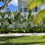 Low Maintenance Garden: Strategi Memiliki Taman Cantik Tanpa Harus Repot Merawatnya Thumbnail