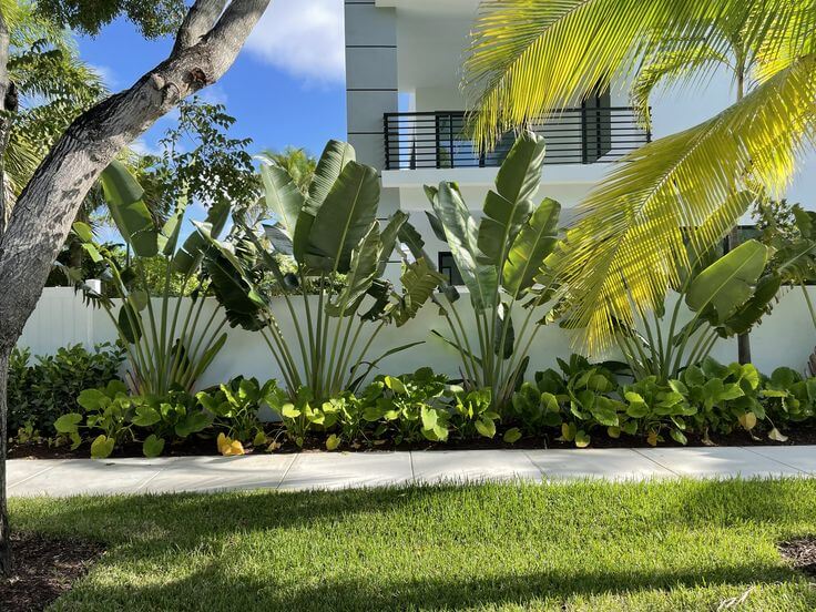 Low Maintenance Garden: Strategi Memiliki Taman Cantik Tanpa Harus Repot Merawatnya Banner