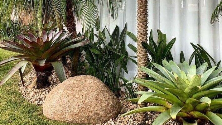 Low Maintenance Garden.3