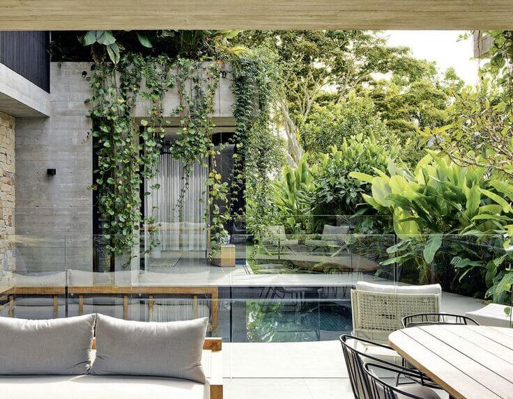 Dinding Kosong di Taman? Tanaman Rambat Bisa Jadi Solusinya Banner