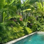 Investasi Hijau: Bagaimana Landscape yang Rapi Dapat Meningkatkan Nilai Jual Properti Thumbnail