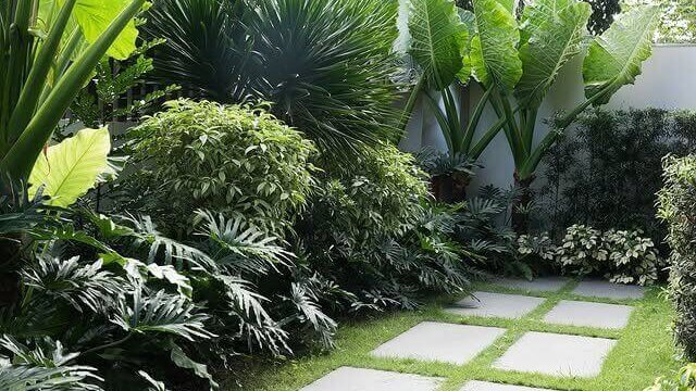 tanaman berdaun vs tanaman berbunga dalam desain taman 2