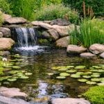 Bagaimana Merancang Kolam Hias untuk Menarik Satwa Liar Kecil Thumbnail