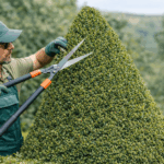 Teknik Pemangkasan Tanaman Landscape untuk Pertumbuhan Optimal Thumbnail