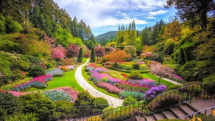 tanaman berdaun vs tanaman berbunga dalam desain taman 1