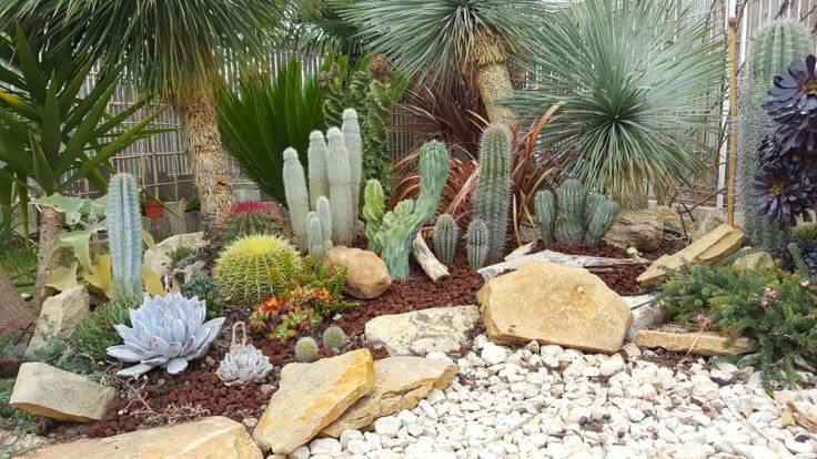 Xeriscaping.2