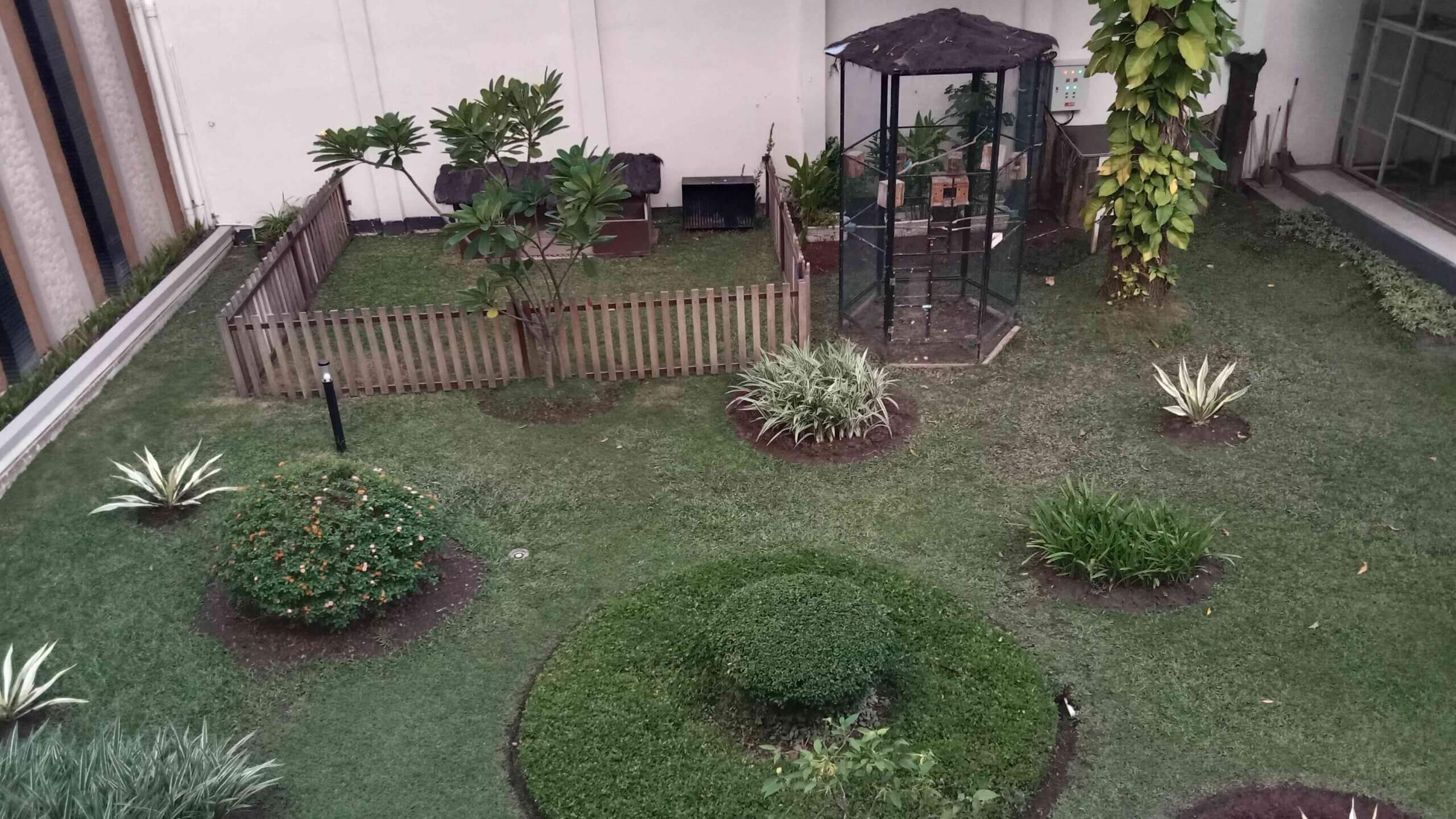 Vertical Garden Rumah Sakit 3